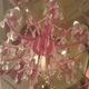 Image for article titled My Uncomfortable Lunch At The Hello Kitty Dreams Restaurant